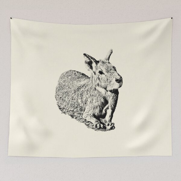Item preview, Patagonian Mara designed and sold by Guardi71.