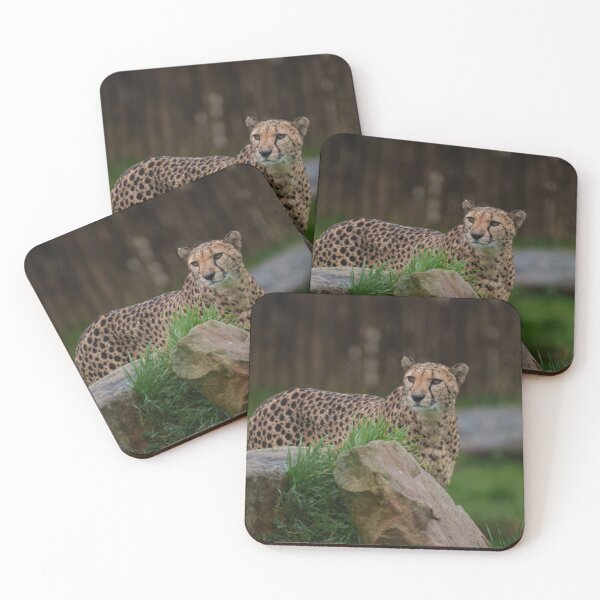 Item preview, Watchful Cheetah Peeking from Behind a Rock designed and sold by rawshutterbug.