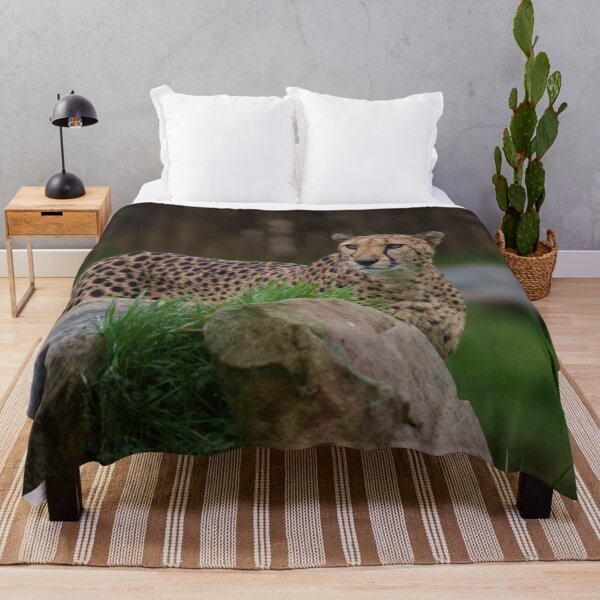 Item preview, Watchful Cheetah Peeking from Behind a Rock designed and sold by rawshutterbug.