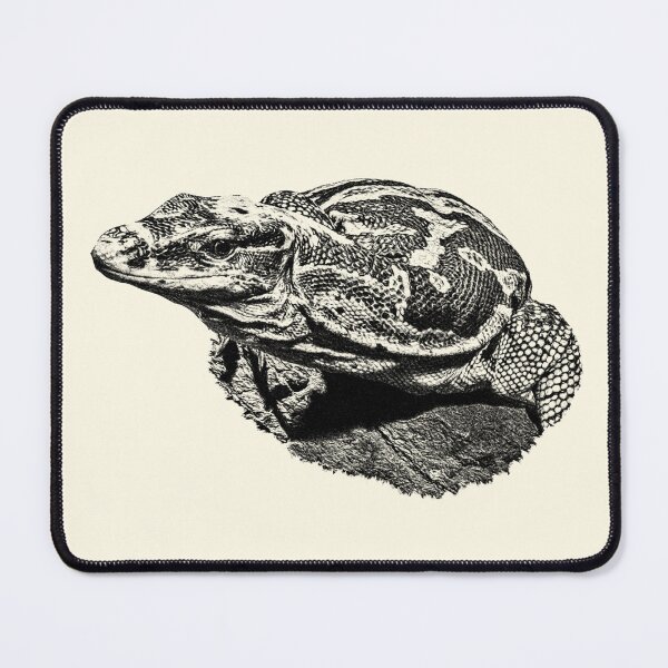 Item preview, Asian water monitor designed and sold by Guardi71.