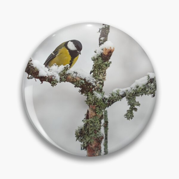 Item preview, Crossroads. Great tit designed and sold by Jouko Lehto Photography.