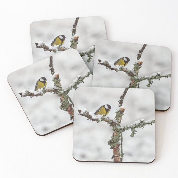 Item preview, Crossroads. Great tit designed and sold by Jouko Lehto Photography.