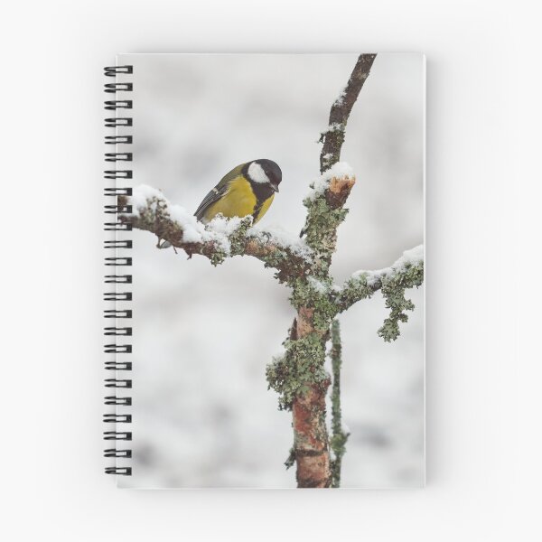 Item preview, Crossroads. Great tit designed and sold by Jouko Lehto Photography.
