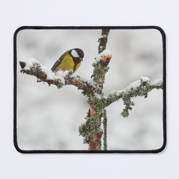 Item preview, Crossroads. Great tit designed and sold by Jouko Lehto Photography.