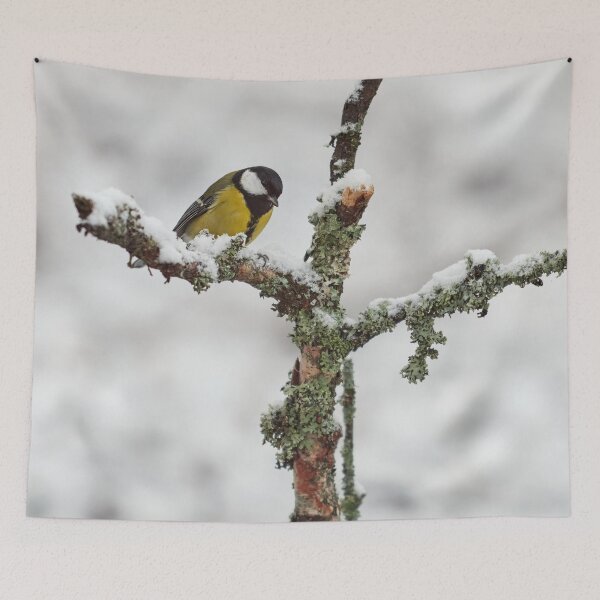 Item preview, Crossroads. Great tit designed and sold by Jouko Lehto Photography.