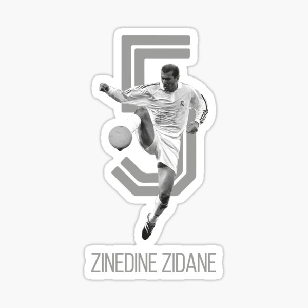 STICKER PANINI CHAMPIONNAT FRANCE 2007 ZINEDINE ZIDANE FRANCE # 563 TOPLOADER