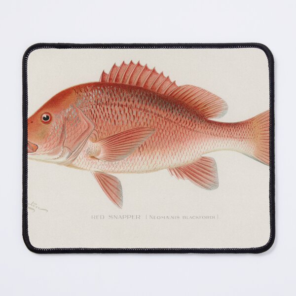 Item preview, Red Snapper - Fish Wear designed and sold by Deeteeh.