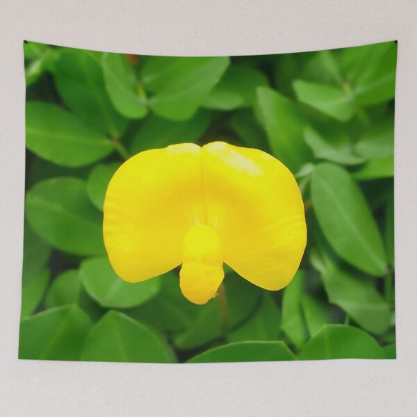 Item preview, Landscape and nature, Beautiful yellow flower 22 designed and sold by FORYOUOFFICIAL.