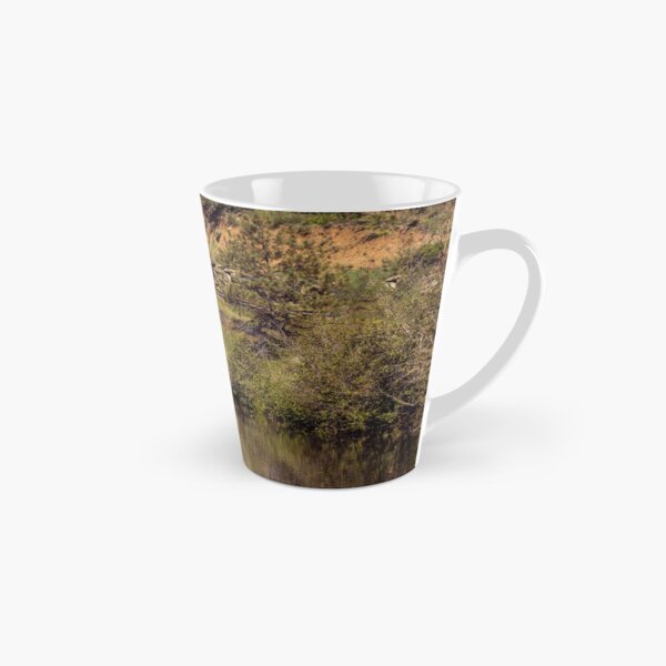 Federal Express Reflections Tall Mug