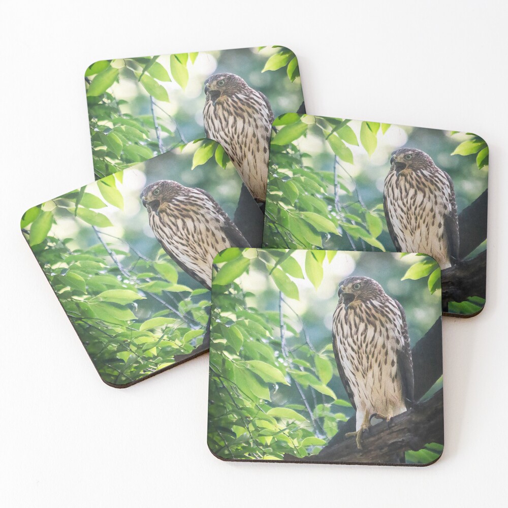 Item preview, Coasters (Set of 4) designed and sold by RStarArt.