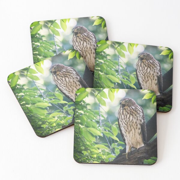 Item preview, Redtail Hawk designed and sold by RStarArt.