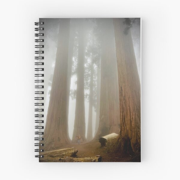 Item preview, Sequoias designed and sold by Nick Fox.