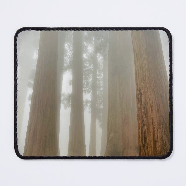 Item preview, Sequoias designed and sold by Nick Fox.