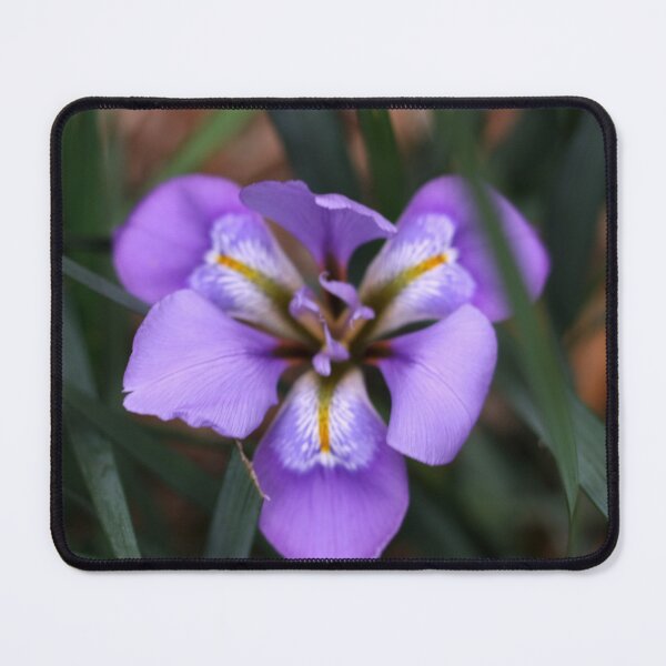 Item preview, Iris designed and sold by agnessa38.