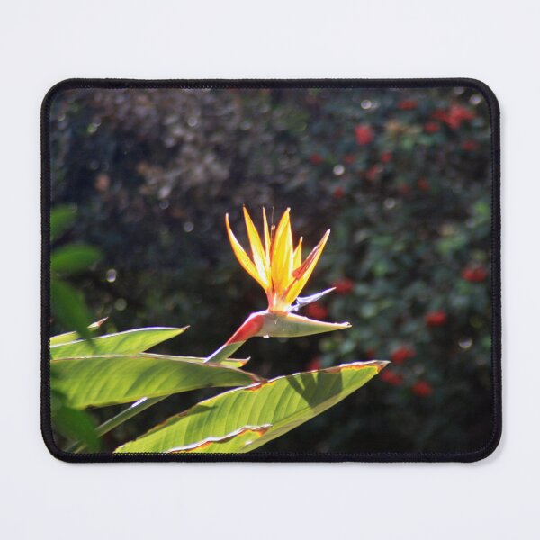 Item preview, Bird's head designed and sold by agnessa38.