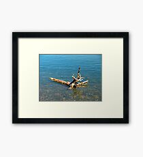 Washed Ashore Framed Print