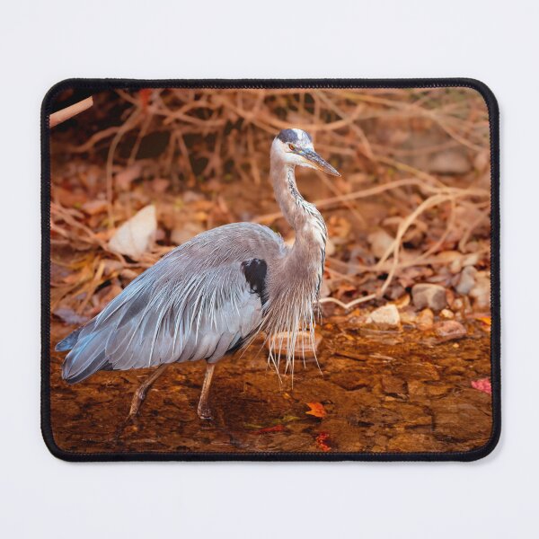 Item preview, Stream Stalking designed and sold by Jim Love.