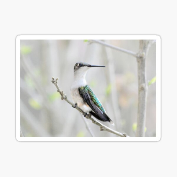 Item preview, Hummer designed and sold by Laurie Minor.