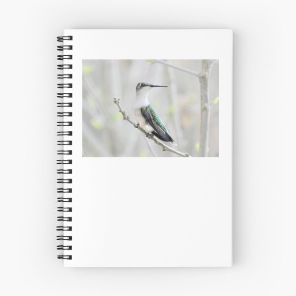 Item preview, Hummer designed and sold by Laurie Minor.
