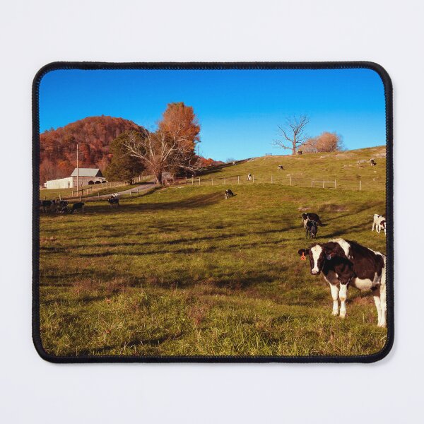 Item preview, Holstein Morning designed and sold by Jim Love.