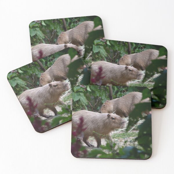 Item preview, Hydrochoerus hydrochaeris Chigüiro Capybara Capybara designed and sold by TimayPictures.