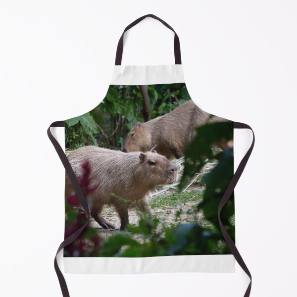 Item preview, Hydrochoerus hydrochaeris Chigüiro Capybara Capybara designed and sold by TimayPictures.