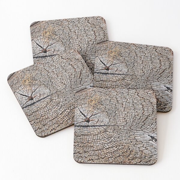 Item preview, Tree Rings designed and sold by seventySIXart&photo .