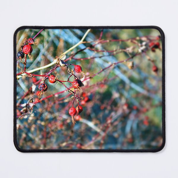 Item preview, Winter Rose Berries designed and sold by seventySIXart&photo .