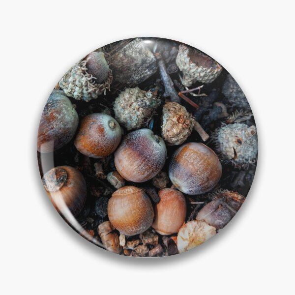 Item preview, Acorn cluster designed and sold by Dirtpathdesigns.