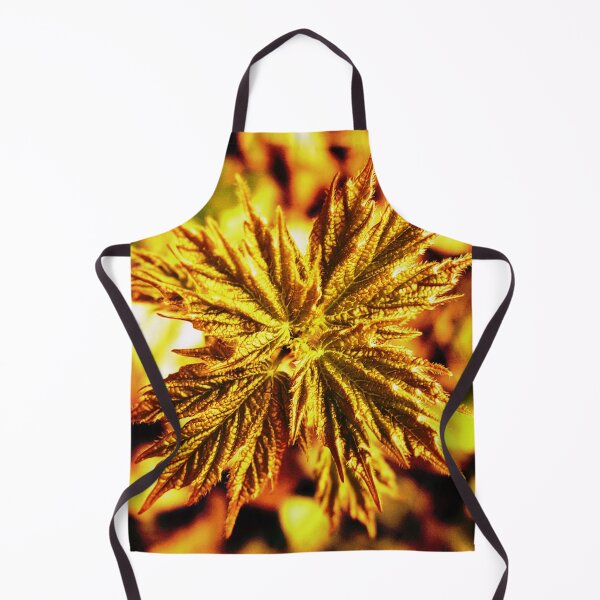 Item preview, Gold Maple designed and sold by DragonBladder.