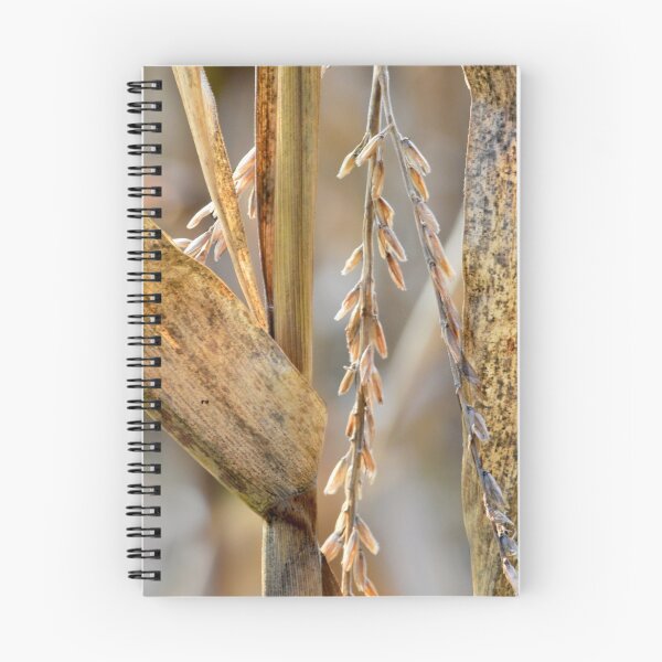 Item preview, Corn Stalk details designed and sold by Laurie Minor.