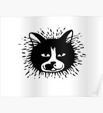 Tuxedo Cat Poster