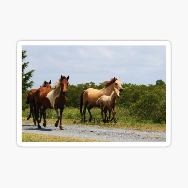 Item preview, Running horses designed and sold by Chichi352.