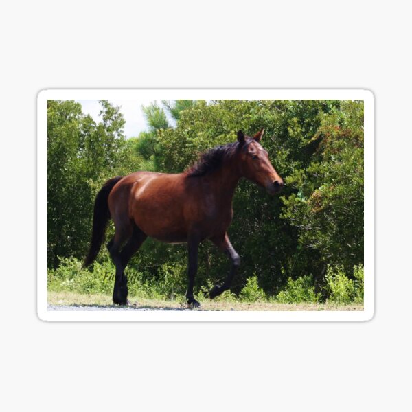 Item preview, Chincoteague Pony  designed and sold by Chichi352.