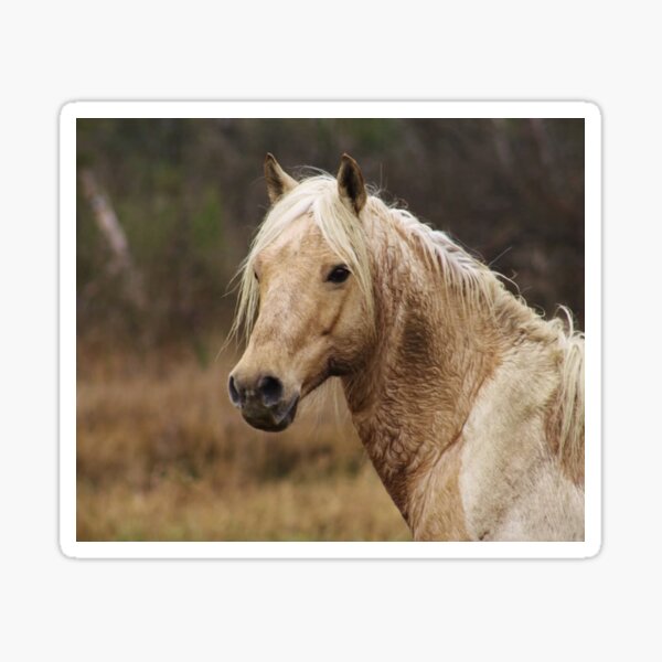 Item preview, Wild pony designed and sold by Chichi352.