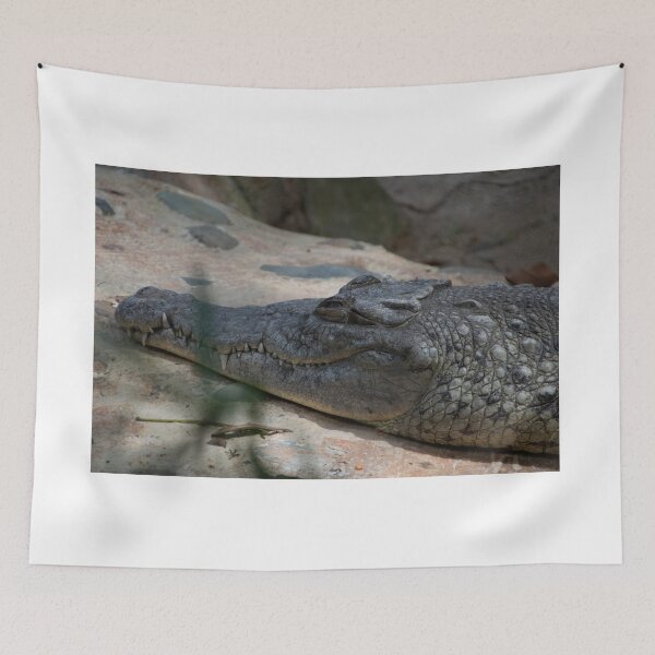 Item preview, Crocodylus acutus cocodrilo del magdalena designed and sold by TimayPictures.