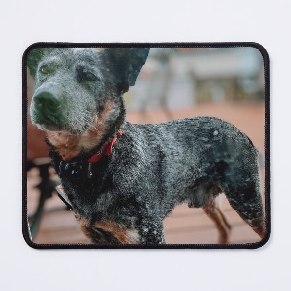 Item preview, Beautiful blue designed and sold by Furfamily11.
