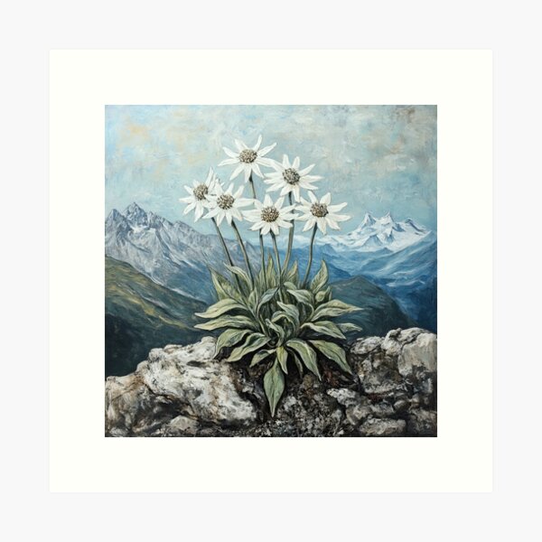 Item preview, Alpine Edelweiss designed and sold by Elisabeth Lucas.