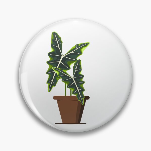Item preview, Alocasia sarian designed and sold by 171factory.