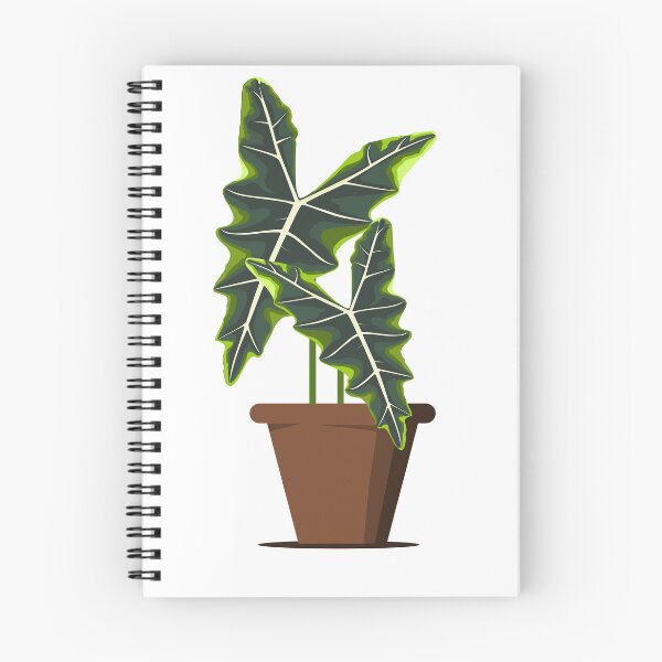 Item preview, Alocasia sarian designed and sold by 171factory.