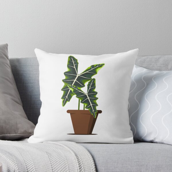 Item preview, Alocasia sarian designed and sold by 171factory.