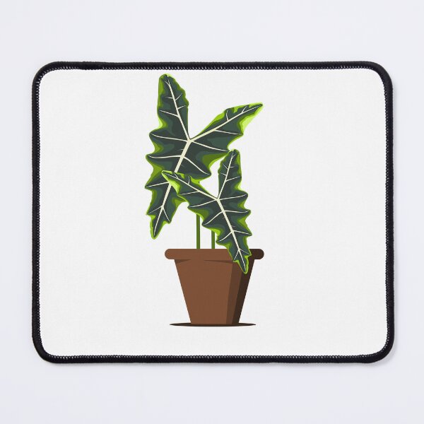 Item preview, Alocasia sarian designed and sold by 171factory.