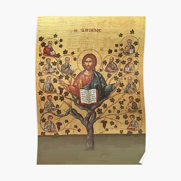 I Am The Vine Ye Are The Branches John 15:5 Poster
