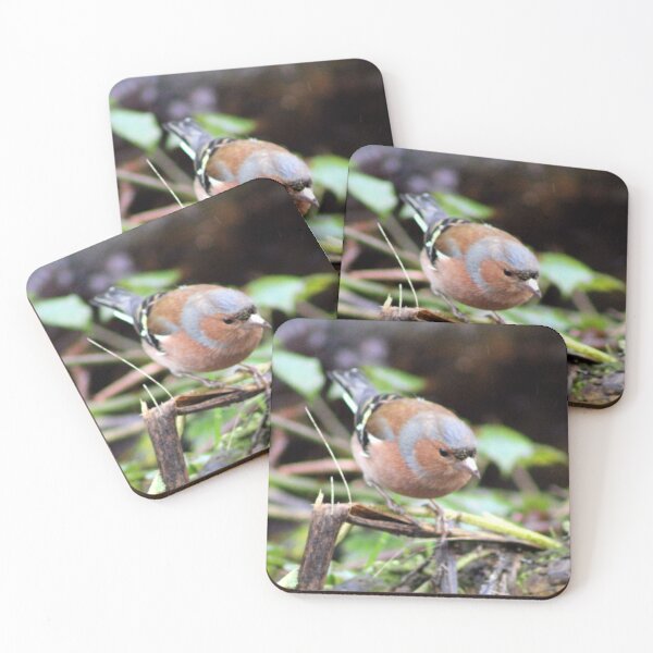 Item preview, Chaffinch designed and sold by KathleenDawson.