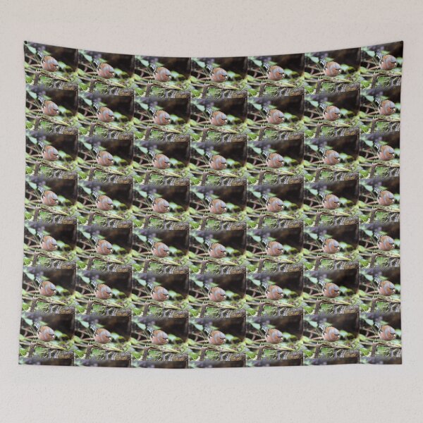 Item preview, Chaffinch designed and sold by KathleenDawson.