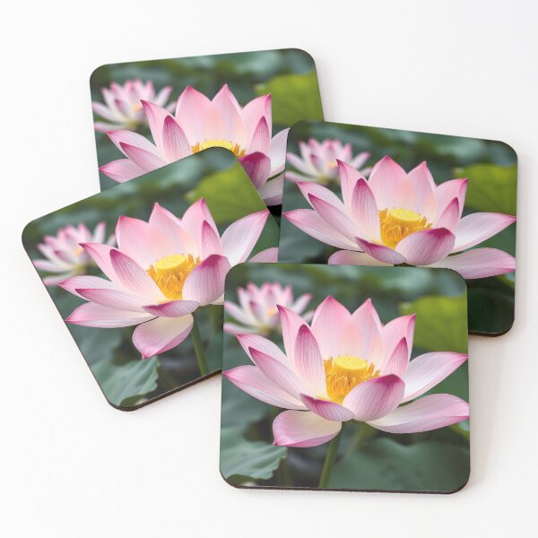 Item preview, Lily #6 designed and sold by EMCGallery.