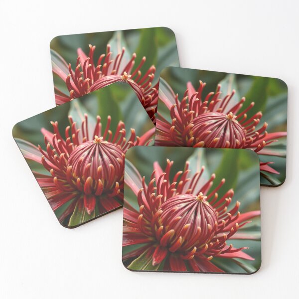 Item preview, Waratah #1 designed and sold by EMCGallery.