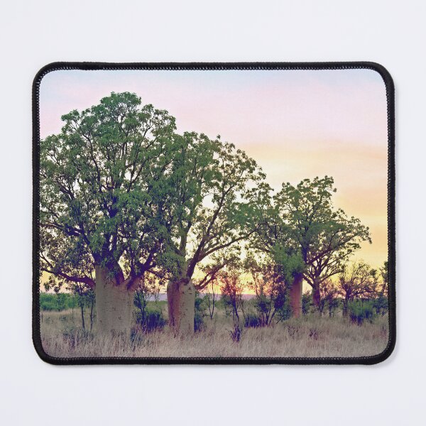Item preview, Kimberley Boabs -Western Australia Sunset Gibb River Road designed and sold by Adam Gormley.