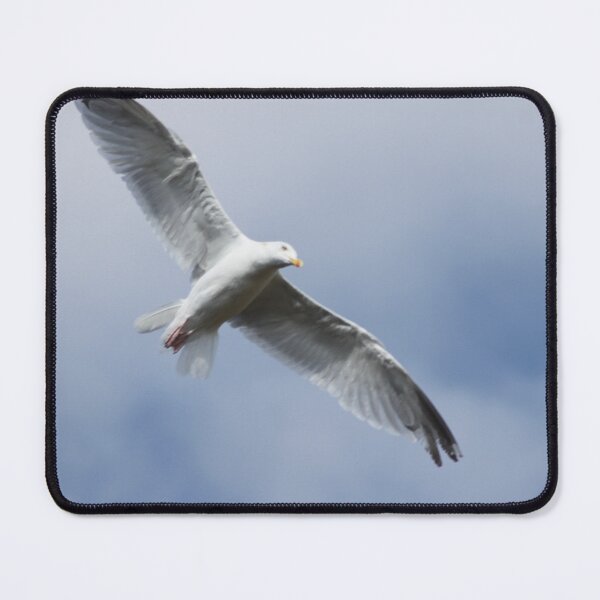 Item preview, Seagull in flight designed and sold by Emma Amies.