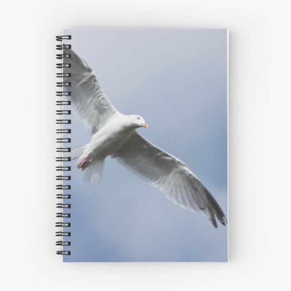 Item preview, Seagull in flight designed and sold by Emma  Amies.